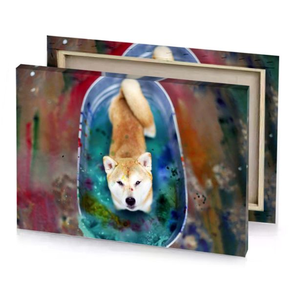 a dog is sitting in bowl of paint peru canvas - Image 4