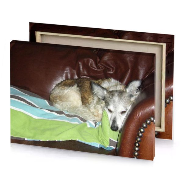 a dog is sleeping on couch silver canvas - Image 4