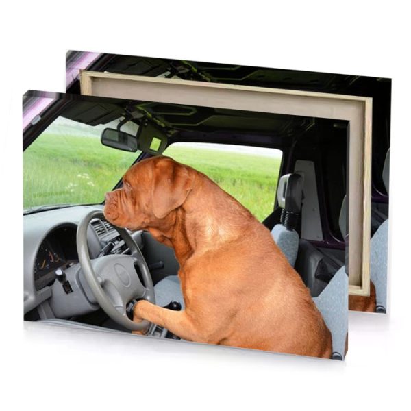 a dog sitting in the driver s seat of car sage canvas - Image 4