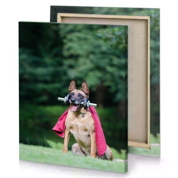 a dog with red towel on its head fern green canvas - Image 4