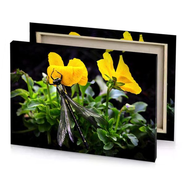 a dragon flys through yellow flower olive drab canvas - Image 4