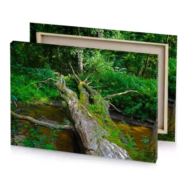 a fallen tree in the middle of stream olive drab canvas - Image 4