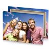 a family poses for picture in the park glaucous canvas - Image 4