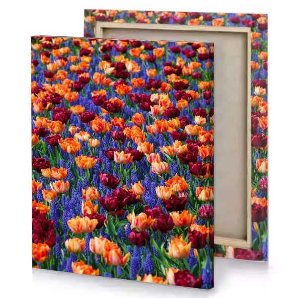 a field of colorful flowers dark slate blue canvas - Image 4
