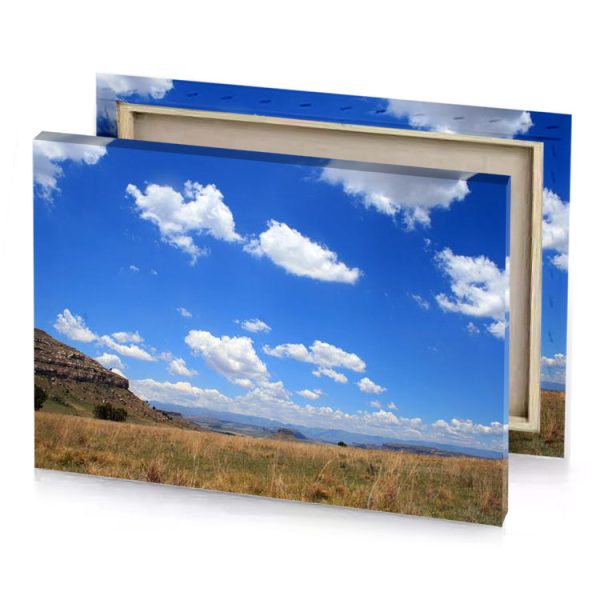 a field of grass royal blue canvas - Image 4