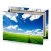 a field of green grass under blue sky cobalt canvas - Image 4