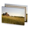 a field of tall grass peru canvas - Image 4