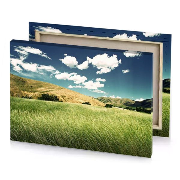 a field of tall grass with mountain in the background dark khaki canvas - Image 4