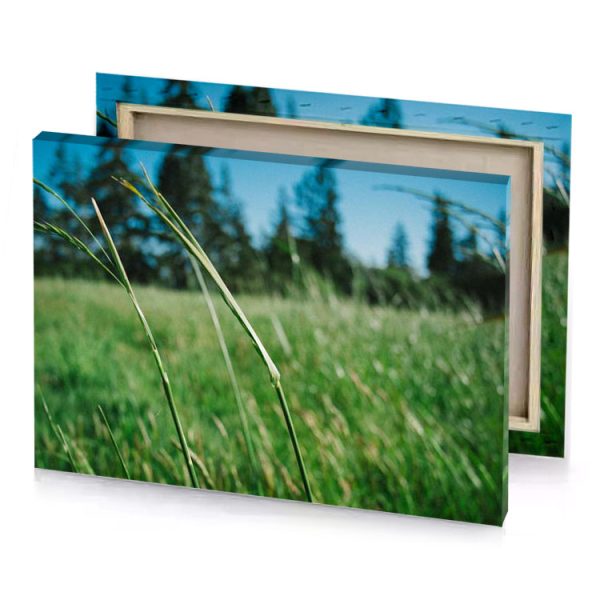 a field of tall grass with trees in the background fern green canvas - Image 4