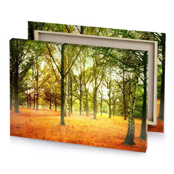 a field with trees and grass in the middle olive drab canvas - Image 4