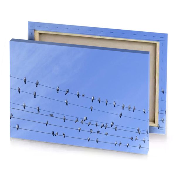 a flock of birds sitting on wire iceberg canvas - Image 4