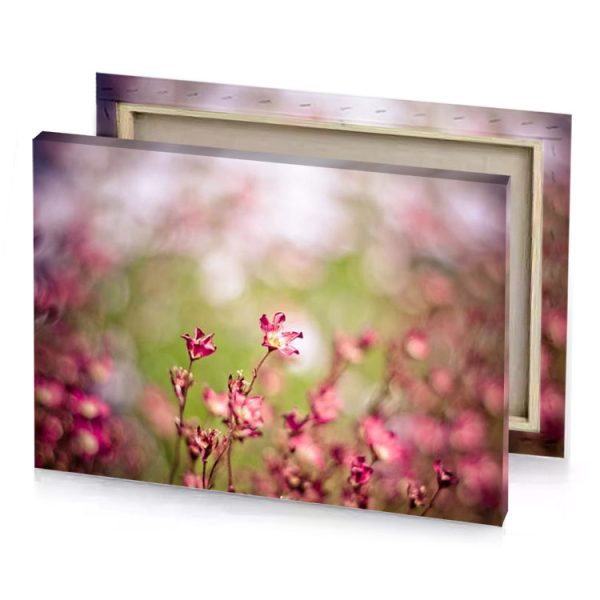 a flower in the middle of field dark khaki canvas - Image 4