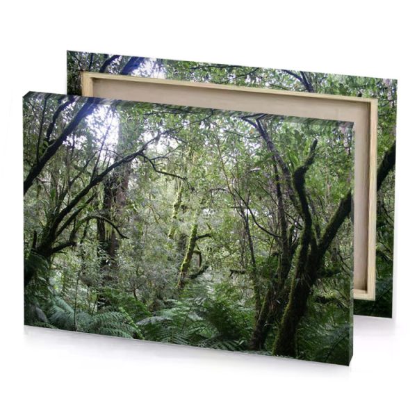 a forest filled with lots of green plants camouflage canvas - Image 4