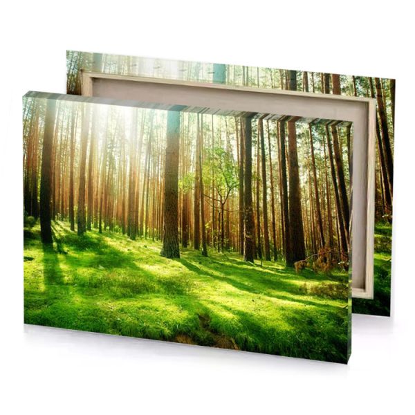a forest with lots of trees and grass olive drab canvas - Image 4