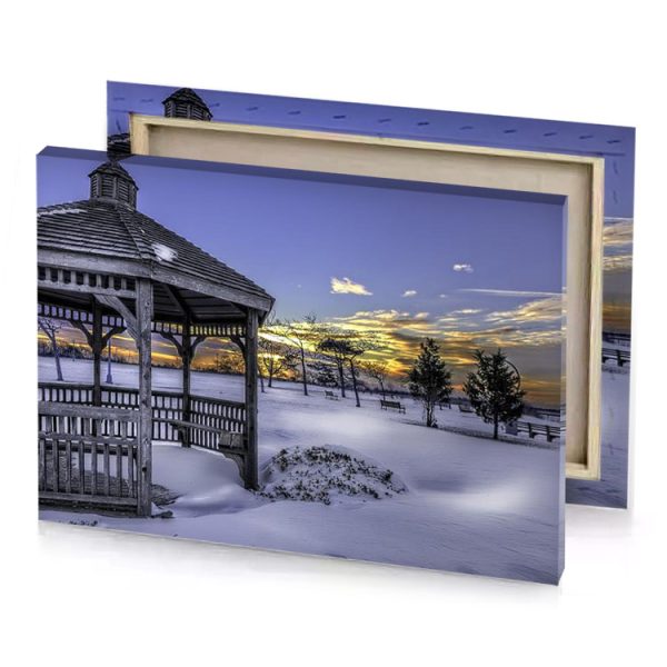 a gaze in the snow manatee canvas - Image 4