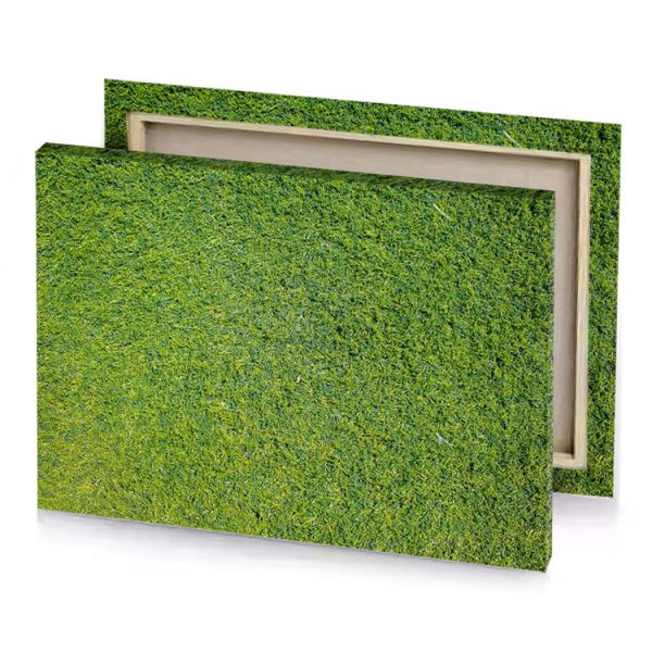 a green grass field with white line olive drab canvas - Image 4