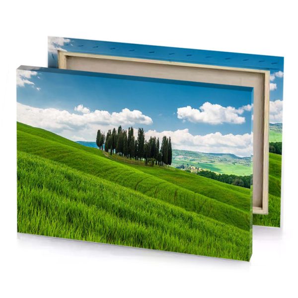 a green hill with trees and blue sky olive drab canvas - Image 4