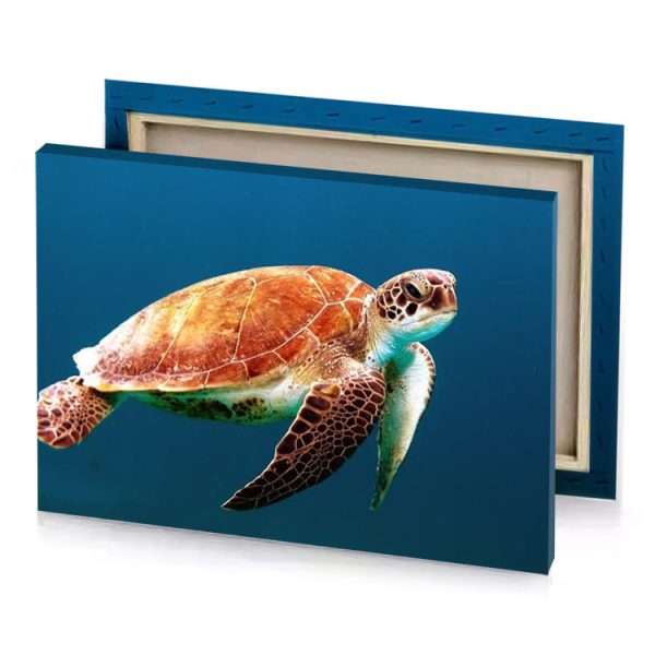 a green turtle swimming in the ocean copper canvas - Image 4