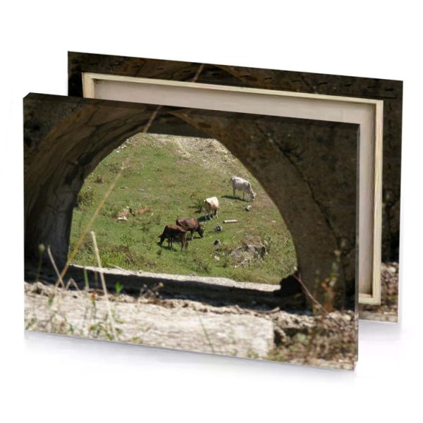 a group of goats grazing in field camouflage green canvas - Image 4
