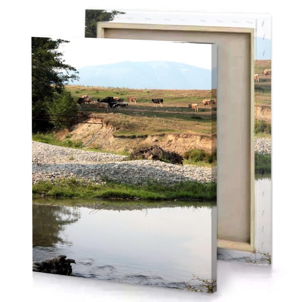 a herd of cows is grazing in field dark khaki canvas - Image 4