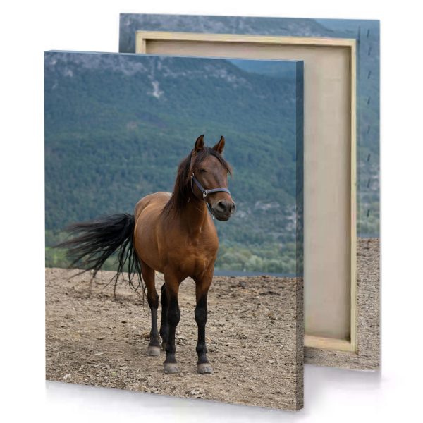 a horse standing on rocky mountain side bistre canvas - Image 4