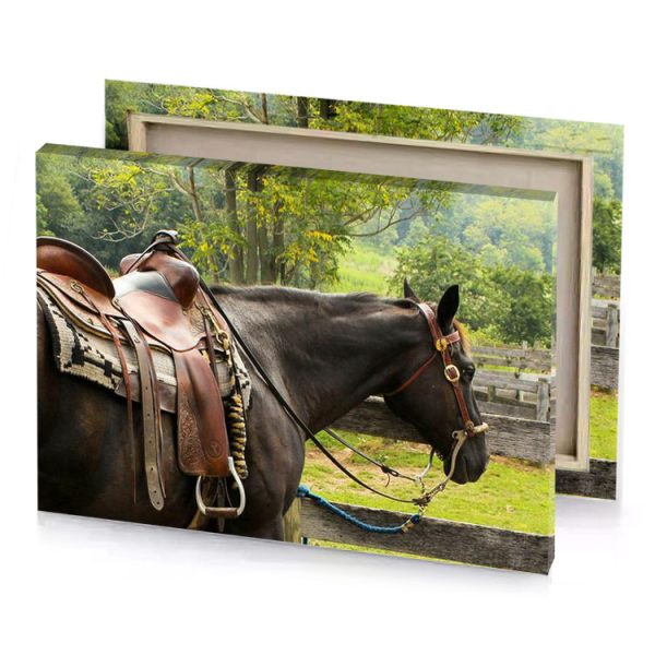 a horse with saddle standing in field bistre canvas - Image 4