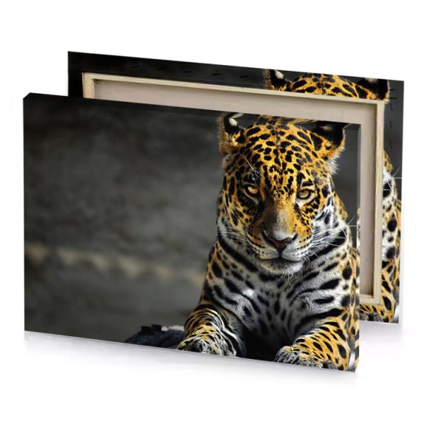 a jaguar is seen in this und looking photograph charcoal canvas - Image 4