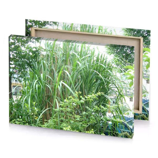a large bush of plants camouflage green canvas - Image 4