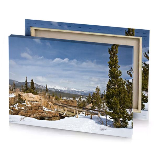 a large tree in the snow manatee canvas - Image 4