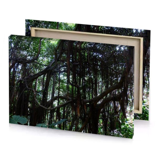 a large tree with many branches growing in the forest smoky black canvas - Image 4