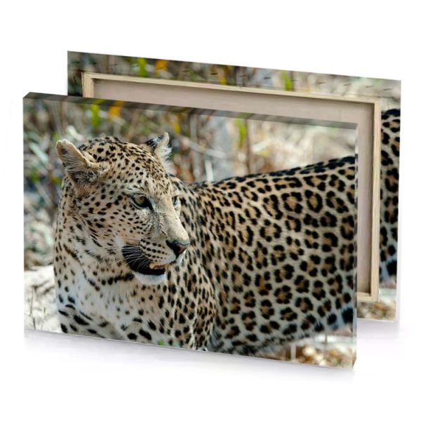 a leopard is standing in the grass camouflage green canvas - Image 4