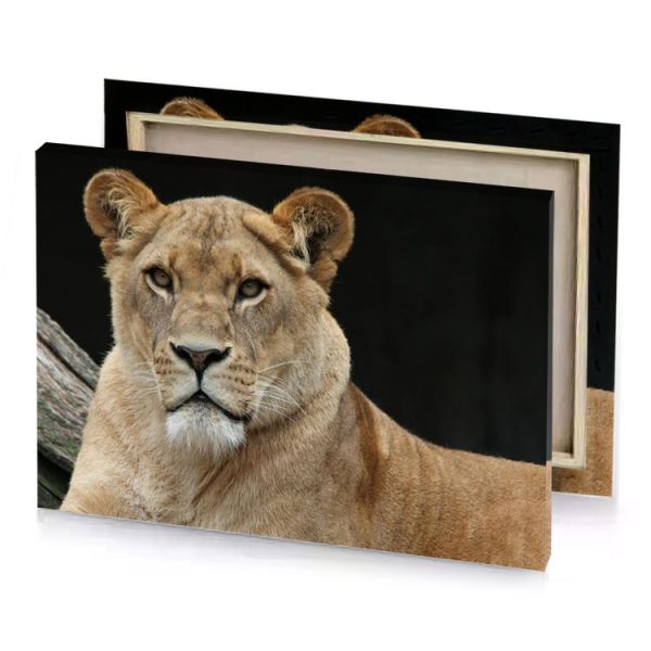 a lion laying on log camouflage green canvas - Image 4
