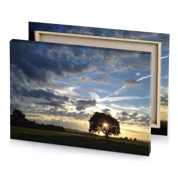 a lone tree in field with cloudy sky manatee canvas - Image 4