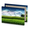 a lone tree on grassy hill platinum canvas - Image 4