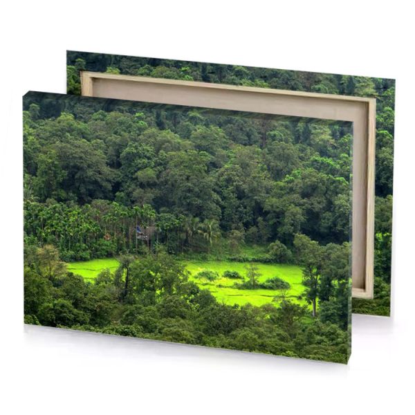 a lush green forest with small hut in the middle yellow canvas - Image 4