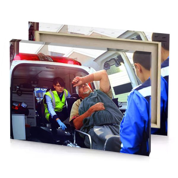 a man in blue shirt garnet canvas - Image 4