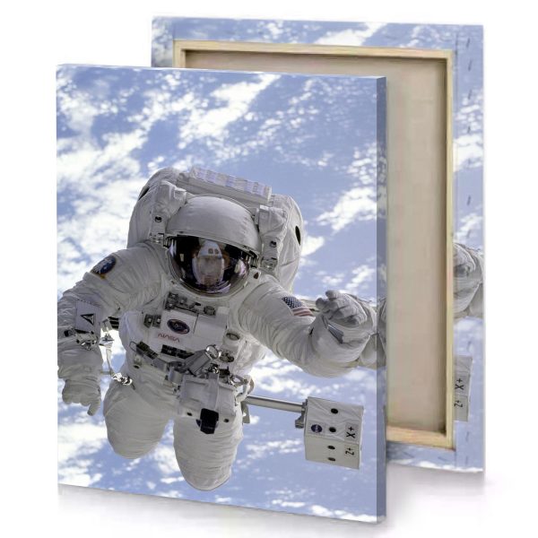 a man in space suit is the air gray canvas - Image 4