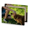 a man kneeling down with dog in the grass bistre canvas - Image 4