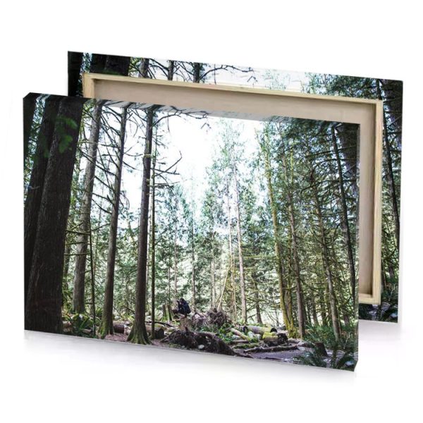a man riding bike through forest lavender canvas - Image 4