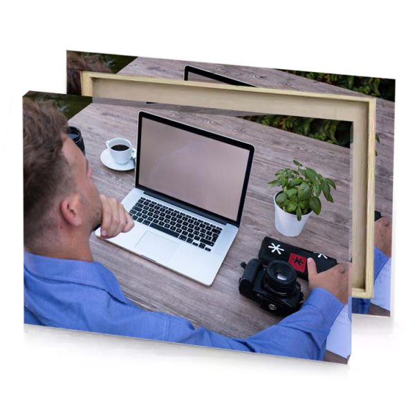 a man sitting at table with laptop and camera manatee canvas - Image 4