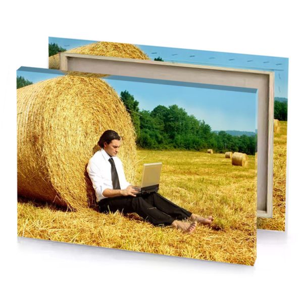 a man sitting in field using laptop fawn canvas - Image 4