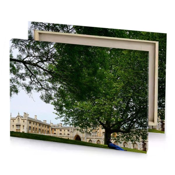 a man sitting under tree in front of large building bistre canvas - Image 4
