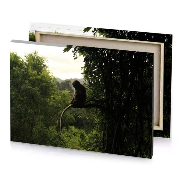 a monkey is sitting on tree branch bistre canvas - Image 4