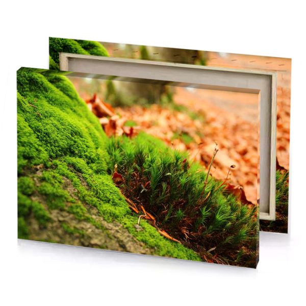 a moss covered wall in the woods olive drab canvas - Image 4