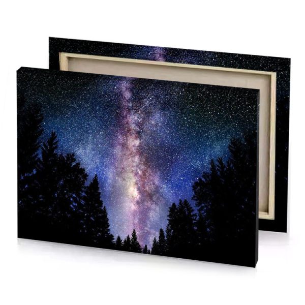 a night sky with the milky and trees slate gray canvas - Image 4