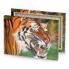 a painting of tiger platinum canvas - Image 4