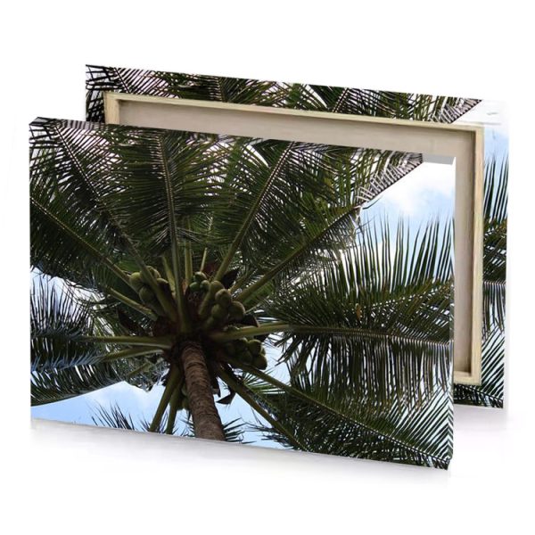 a palm tree with bunch of bananas on it bistre canvas - Image 4