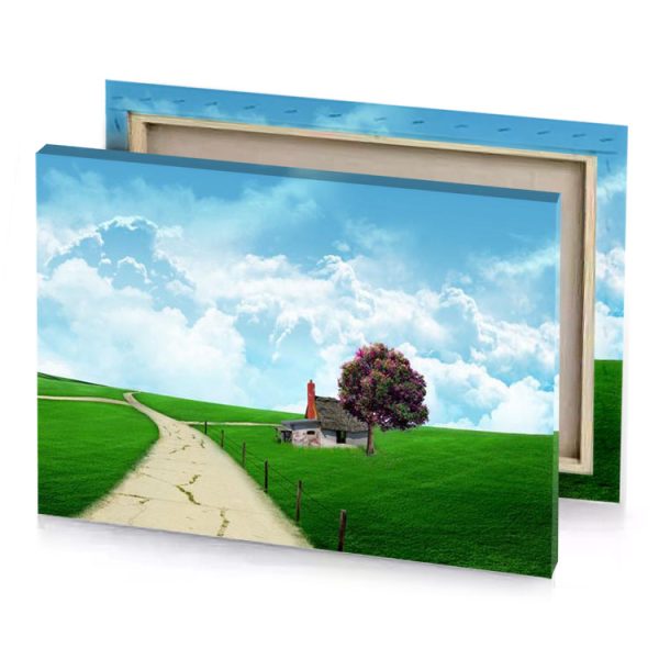 a path leading to house in the middle of green slimy canvas - Image 4