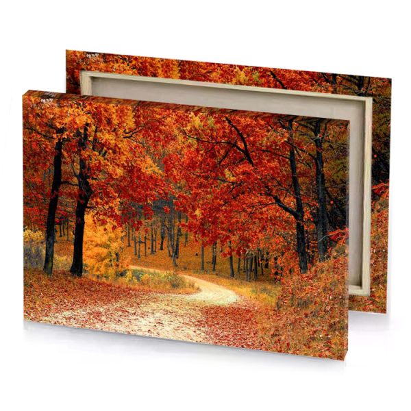 a path through forest with lots of leaves firebrick canvas - Image 4