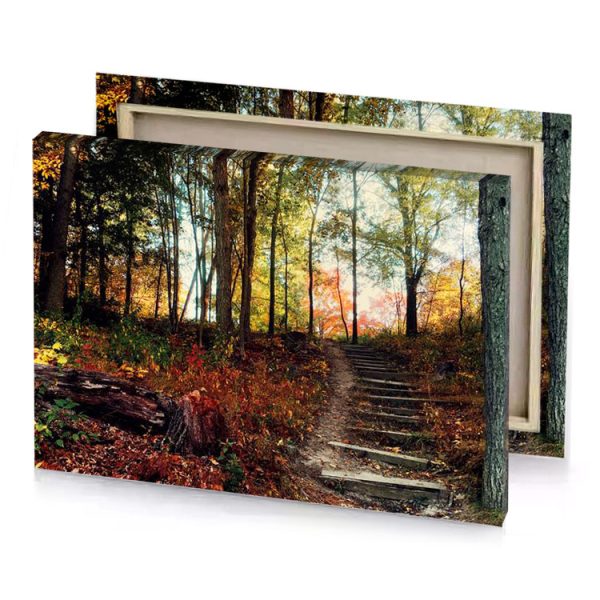 a path through forest with lots of trees bistre canvas - Image 4